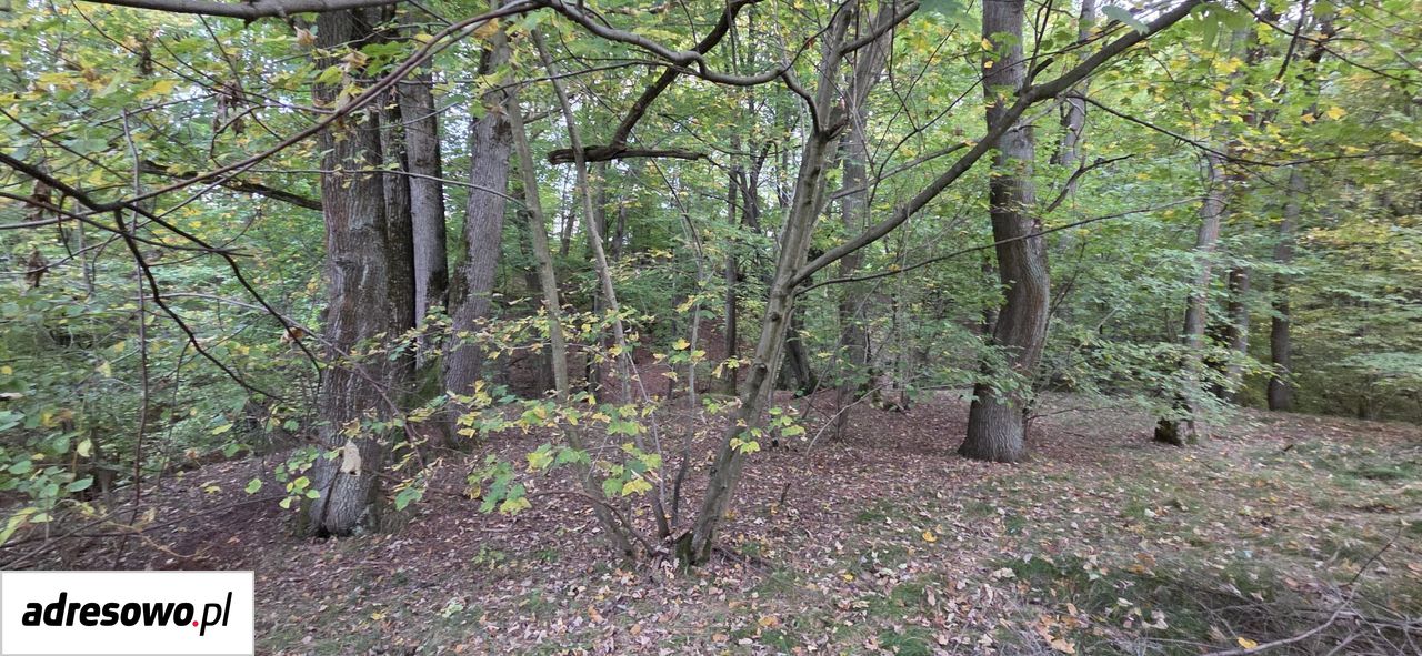 Działka budowlana Kraków Swoszowice. Zdjęcie 4
