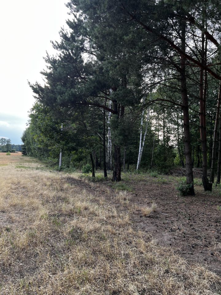 Działka budowlana Anastazew. Zdjęcie 6