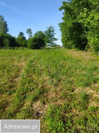 Działka budowlana Woźnice. Zdjęcie 6