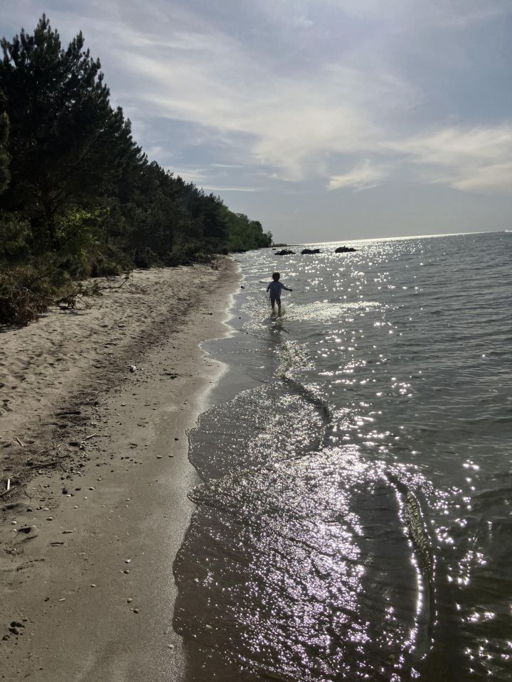 Działka rolno-budowlana Tolkmicko, ul. Morska. Zdjęcie 7