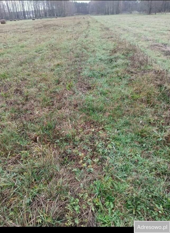 Działka budowlana Brzuza. Zdjęcie 6