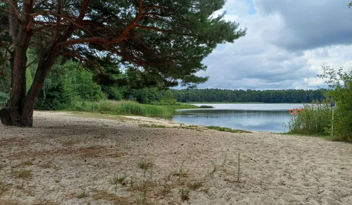 Działka rekreacyjna Orchówek, ul. Sosnowa