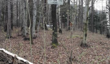 Działka rekreacyjna Czaniec, ul. Myśliwska