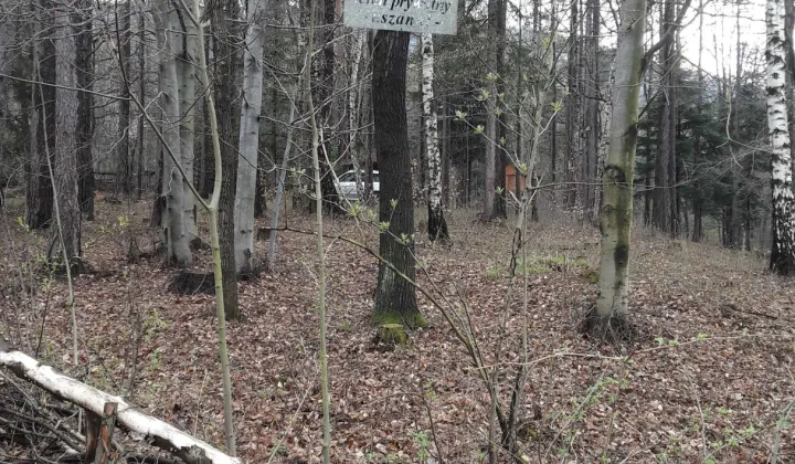Działka rekreacyjna Czaniec, ul. Myśliwska