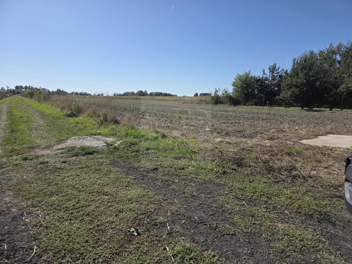 Działka budowlana Nowe Faszczyce. Zdjęcie 11