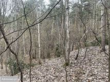 Działka rolna Gorzków Stary. Zdjęcie 2