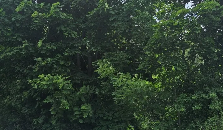 Działka inna Bryzgów