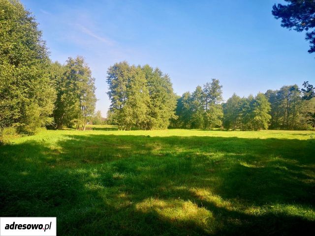 Działka rekreacyjna Ludwinów, ul. Rubinowa. Zdjęcie 1