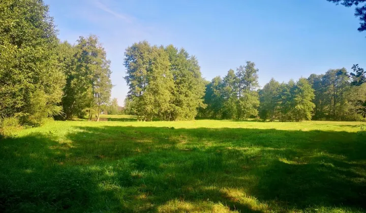 Działka rekreacyjna Ludwinów, ul. Rubinowa