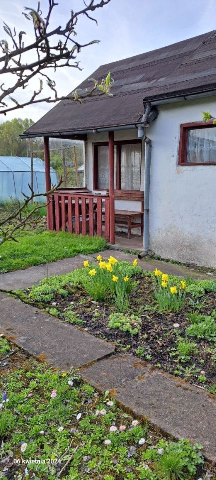 Działka rod Piła, ul. Koszalińska. Zdjęcie 8