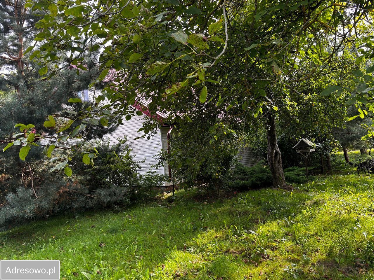 siedlisko, 4 pokoje Radzięcin. Zdjęcie 13