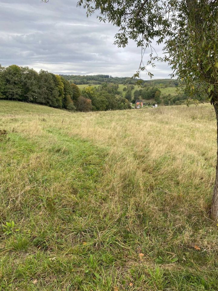 Działka budowlana Zagórze Śląskie. Zdjęcie 2