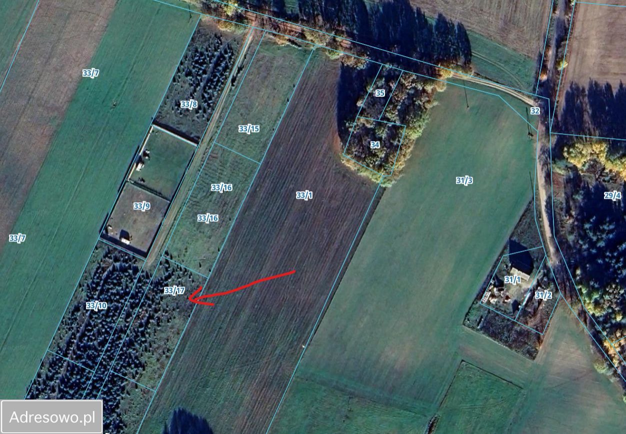 Działka rolna Glinno. Zdjęcie 2