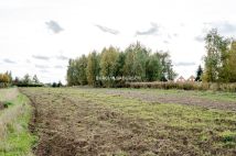 Działka budowlana Cholerzyn. Zdjęcie 4