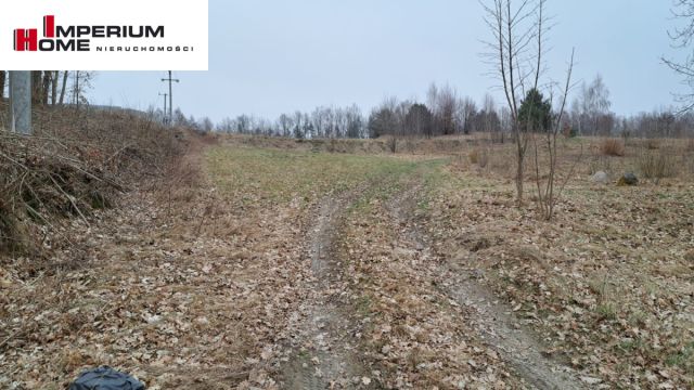 Działka inwestycyjna Grzybno, ul. Przodkowska. Zdjęcie 12