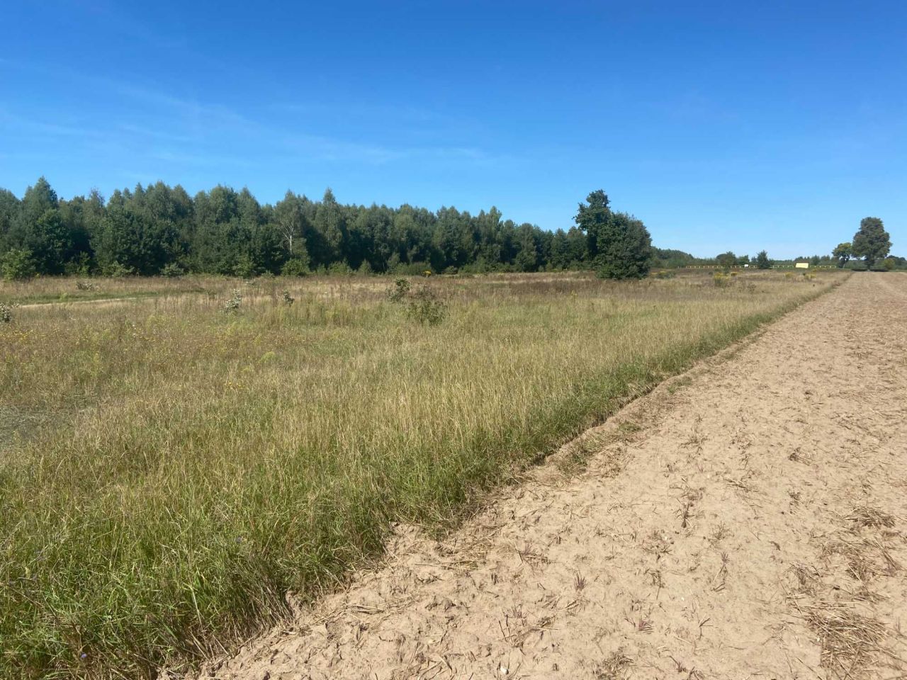 Działka inwestycyjna Kozenin. Zdjęcie 4