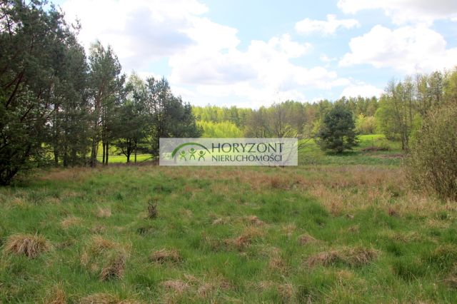 Działka budowlana Sitno. Zdjęcie 6