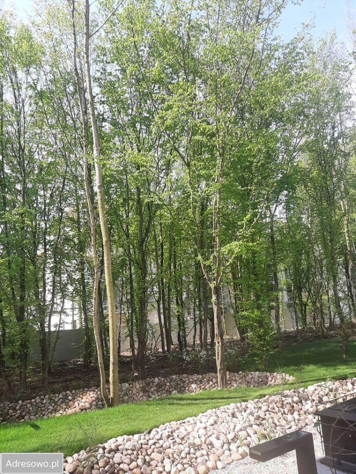 Mieszkanie 3-pokojowe Gdańsk Orunia Górna, ul. Erwiny Barzychowskiej. Zdjęcie 8