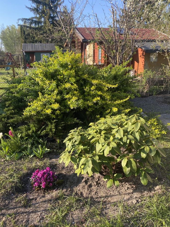 Działka rod Otwock Teklin, ul. Grunwaldzka. Zdjęcie 11