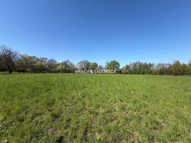 Działka budowlana Lednica Górna. Zdjęcie 2