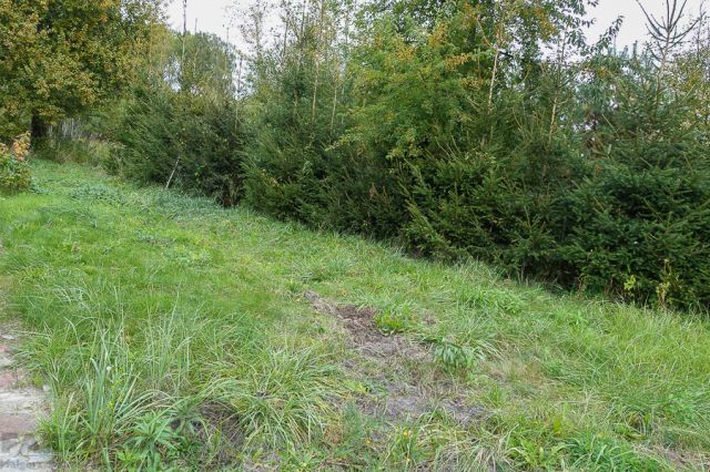Działka budowlana Kobylanka. Zdjęcie 1