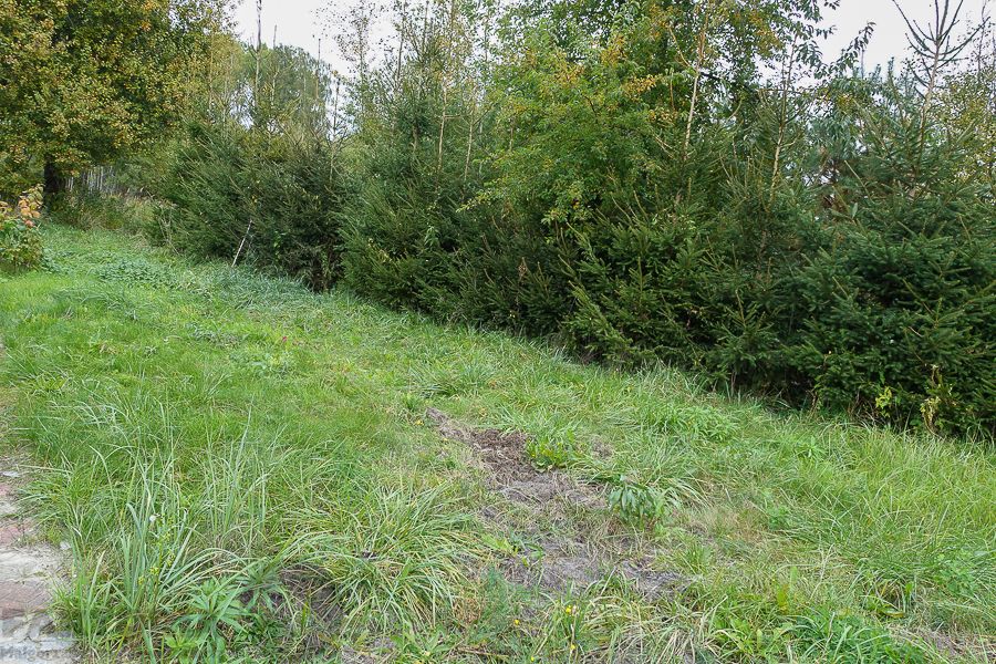 Działka budowlana Kobylanka