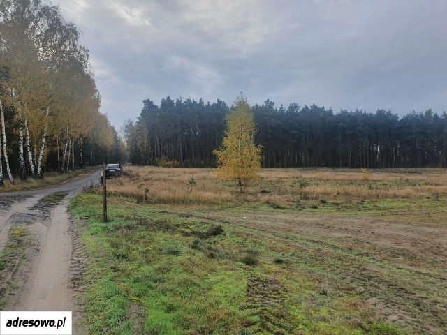 Działka budowlana Murzynowiec Leśny. Zdjęcie 4