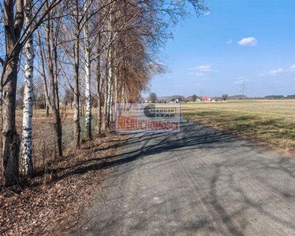 Działka budowlana Chlewiska. Zdjęcie 14