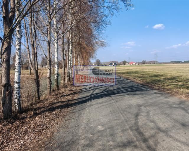 Działka budowlana Chlewiska. Zdjęcie 14