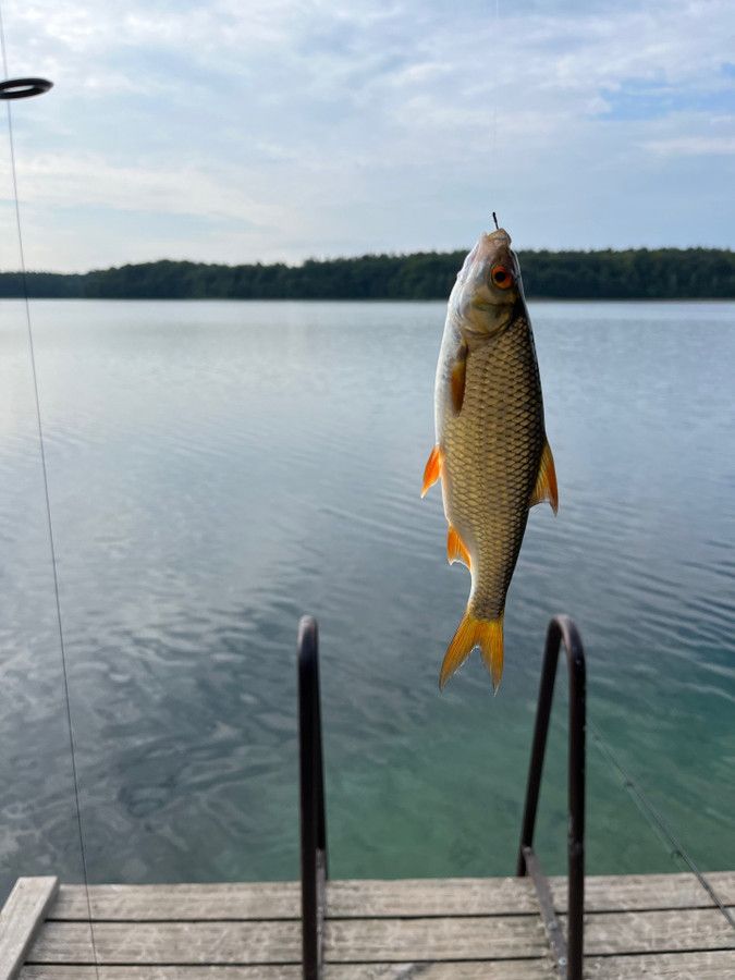 Działka budowlana Pławno. Zdjęcie 12