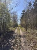 Działka rolna Parszów, ul. Złotoglin. Zdjęcie 4