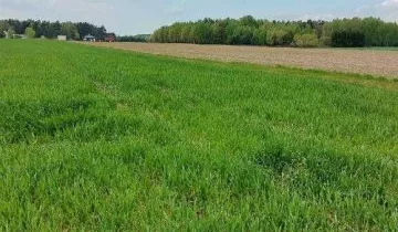 Działka na sprzedaż bez pośredników          
          
            Borkowo - Więcej