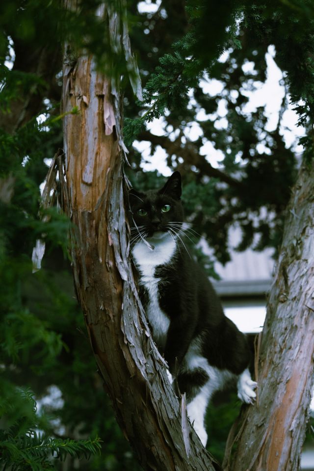 dom wolnostojący, 5 pokoi Rumia Zagórze, ul. Górnicza. Zdjęcie 33