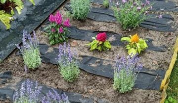 Działka rod Kraków Nowa Huta