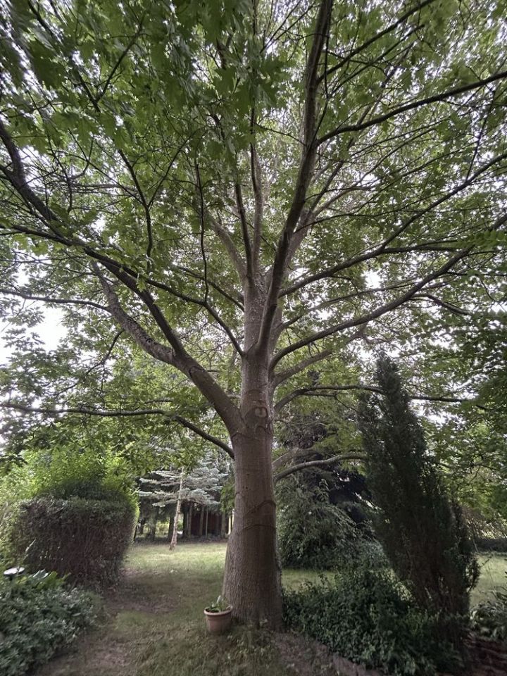 dom wolnostojący Debrzno. Zdjęcie 5