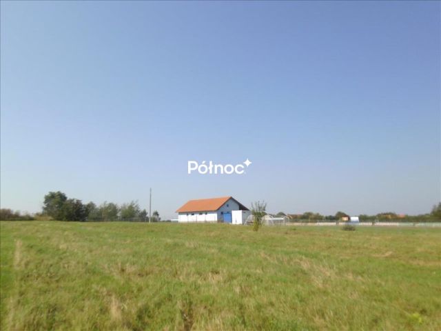 Działka Wykroty. Zdjęcie 5