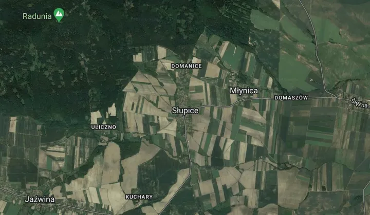 Działka rolno-budowlana Łagiewniki, Słupice