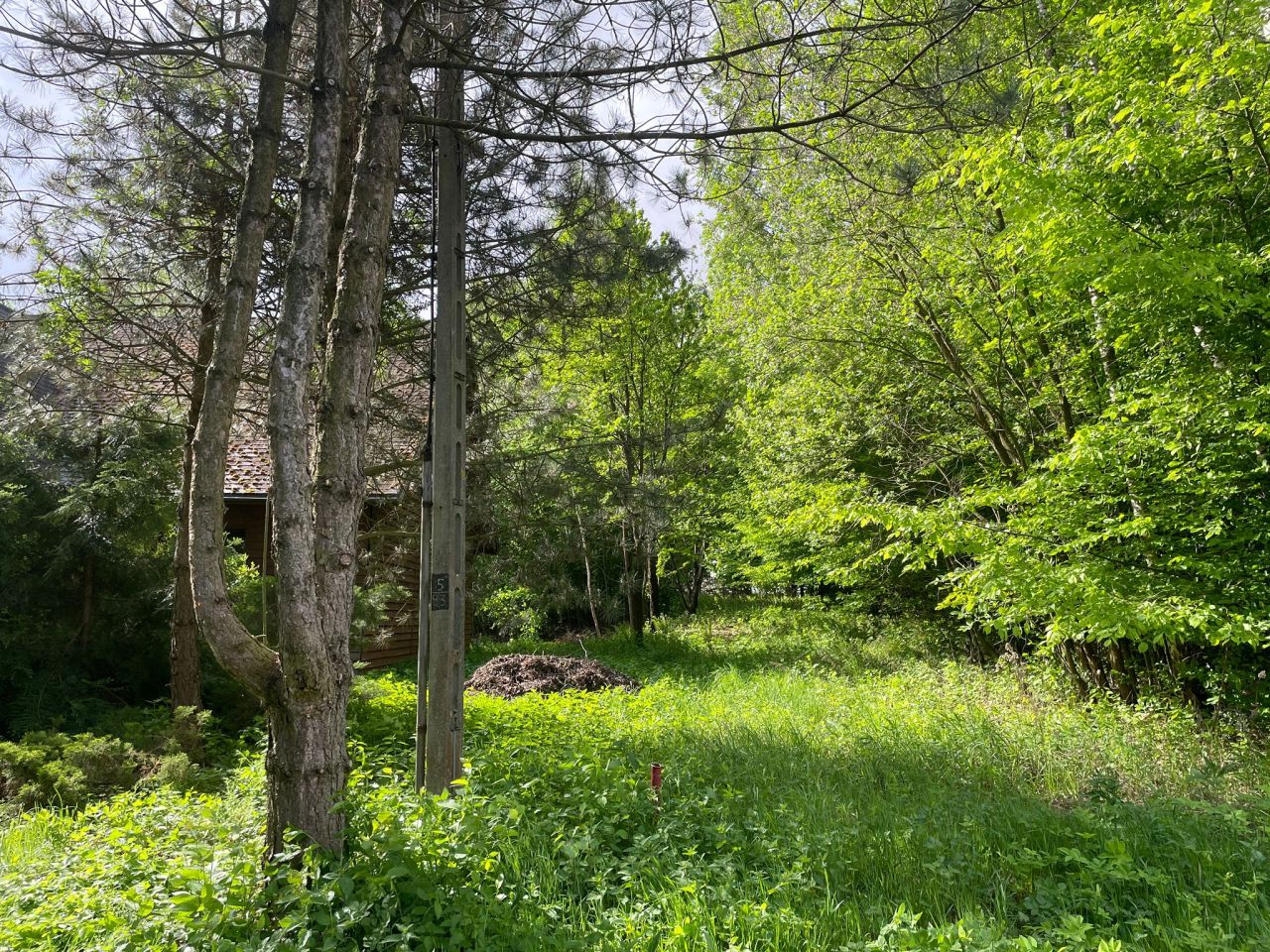 Działka rolno-budowlana Wojciechów-Kolonia Piąta. Zdjęcie 5