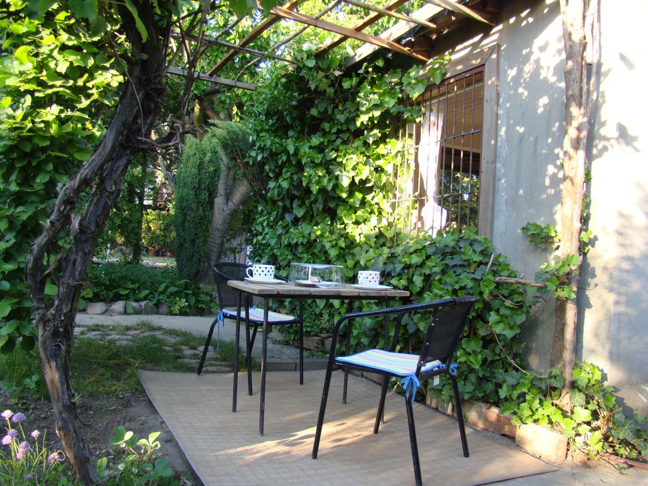 Działka rod Kalisz Nosków, ul. Poranna. Zdjęcie 4