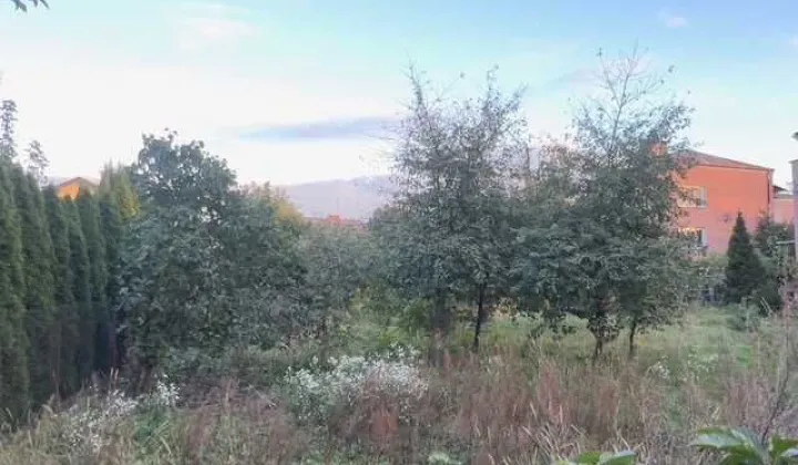 Działka budowlana Siedlce, ul. Mieczysława Piotrowskiego