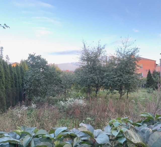 Działka budowlana Siedlce, ul. Mieczysława Piotrowskiego