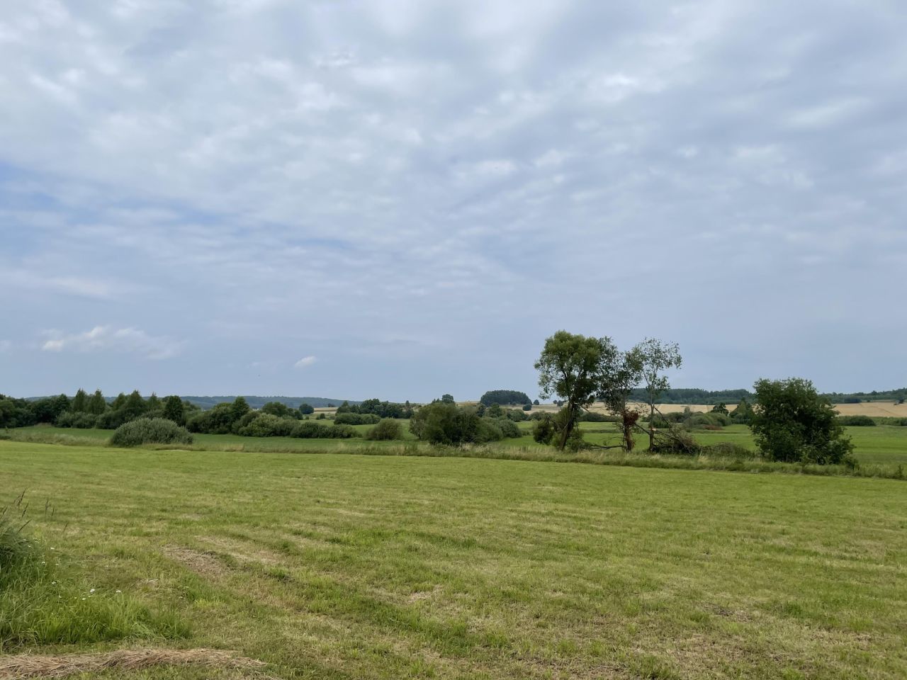 Działka rolno-budowlana Kopczany. Zdjęcie 23