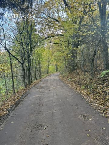 dom wolnostojący Lasowiec. Zdjęcie 31