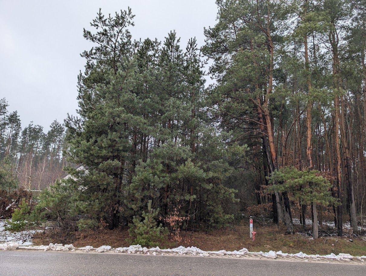 Działka budowlana Rzeczyca, ul. Gościniec. Zdjęcie 2