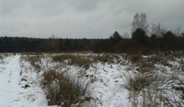 Działka rolno-budowlana Sorbin. Zdjęcie 1