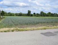 Działka rolno-budowlana Klimontów. Zdjęcie 2