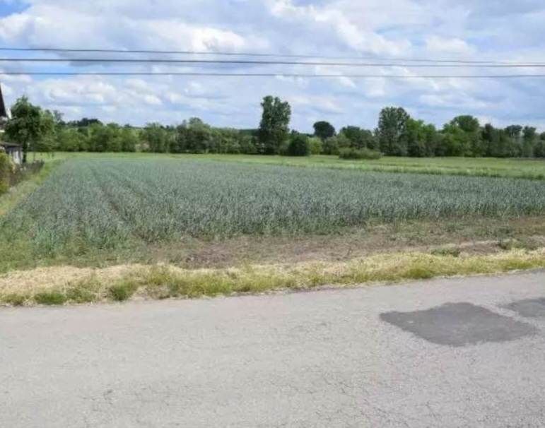 Działka rolno-budowlana Klimontów. Zdjęcie 3