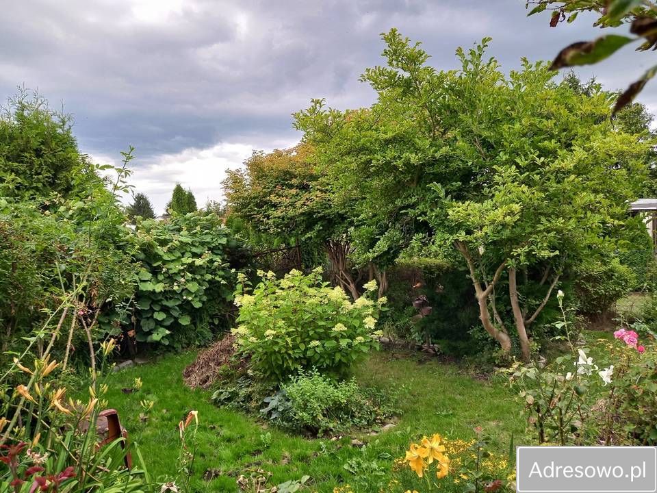 Działka rod Szczecin. Zdjęcie 8