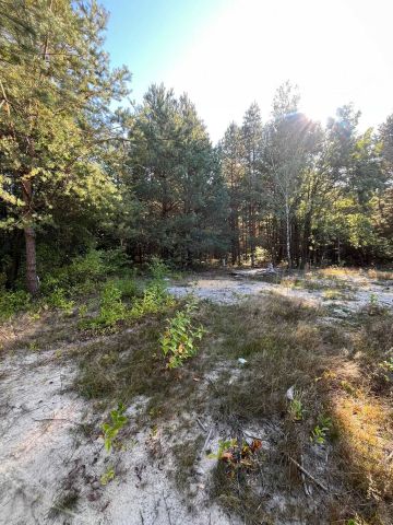 Działka budowlana Arciechów. Zdjęcie 1