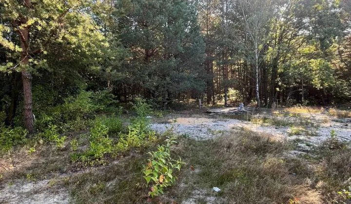 Działka budowlana Arciechów